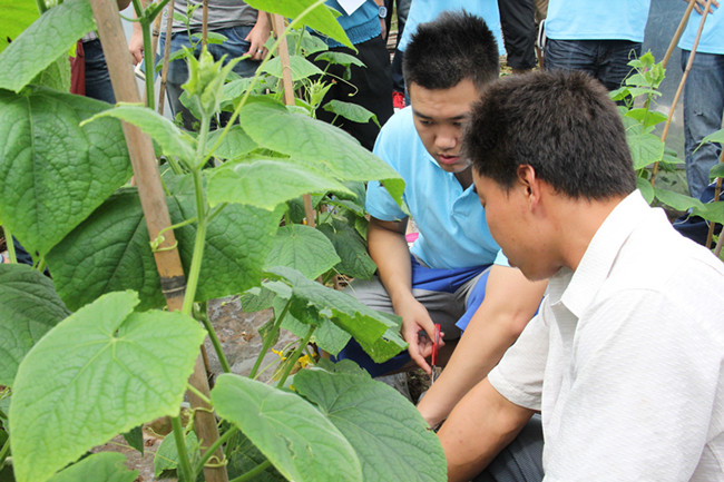 点击浏览下一页